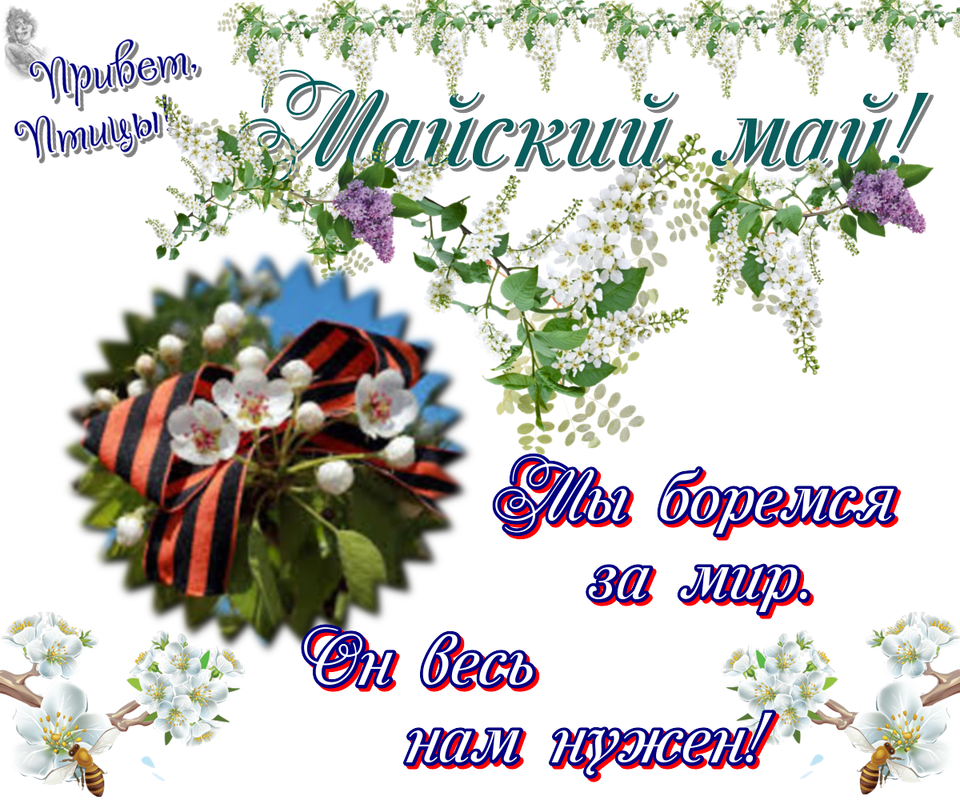 https://i.postimg.cc/SxtCTnC4/09-05.png
