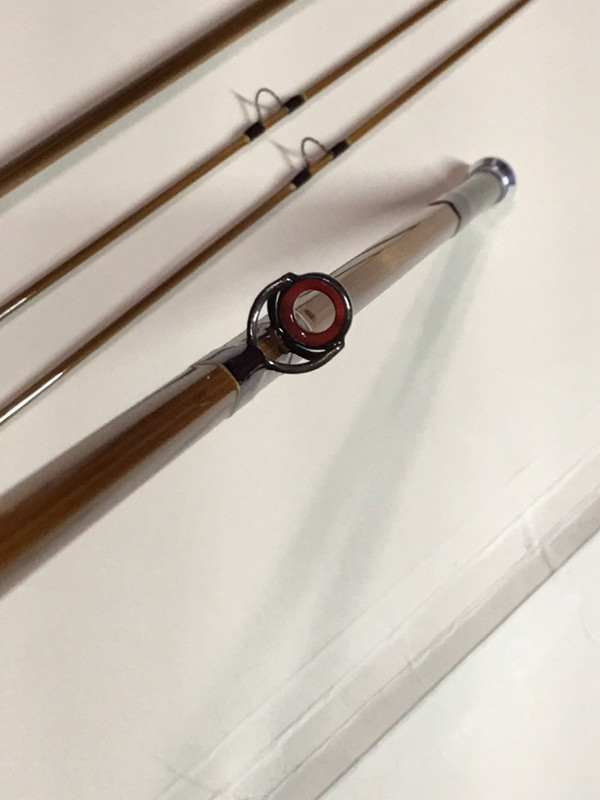 C982118D-F433-4D3C-A403-0E7F0029629B