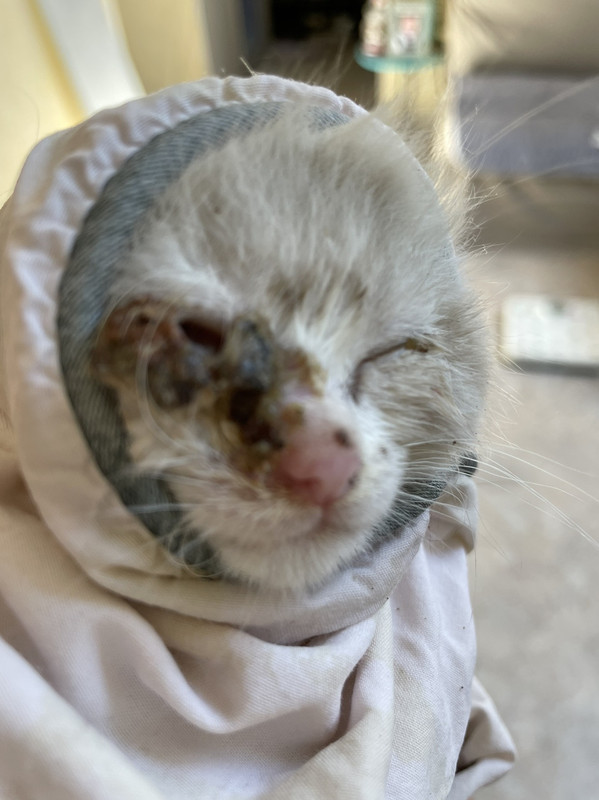 5A29688B-40EC-4852-800A-1C4005AE61CA