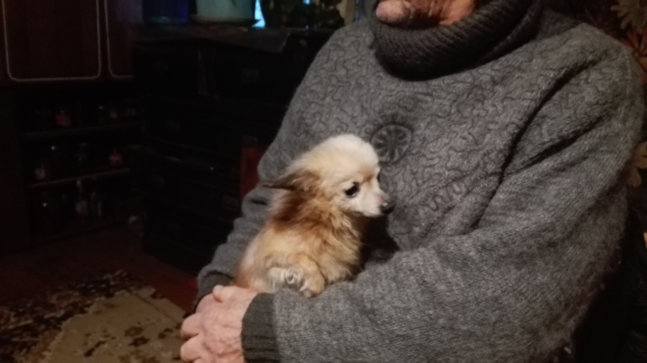 92C26274-4B09-492C-8556-BB6DC332C933