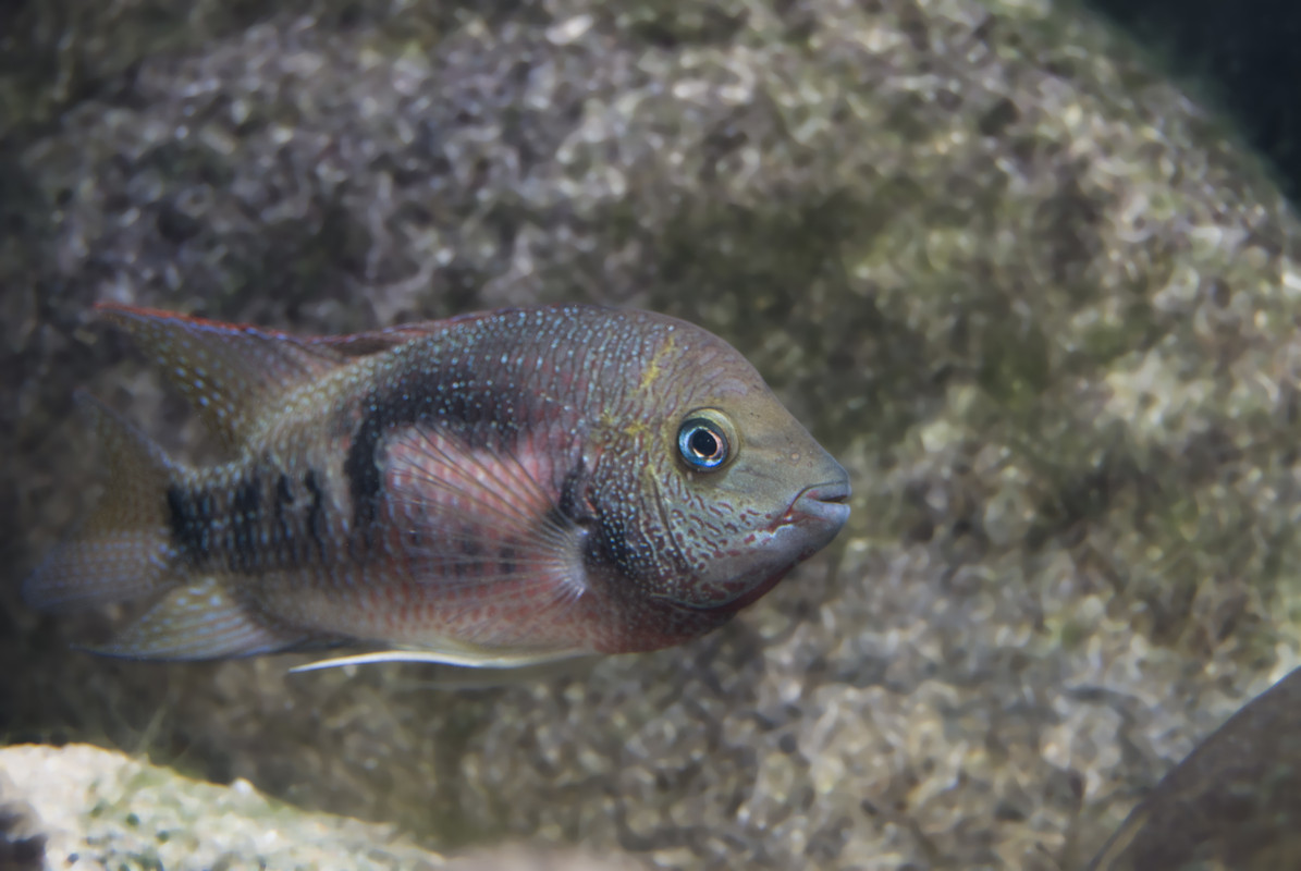 45DA9D4A-3484-49E1-95B0-2314295342A7