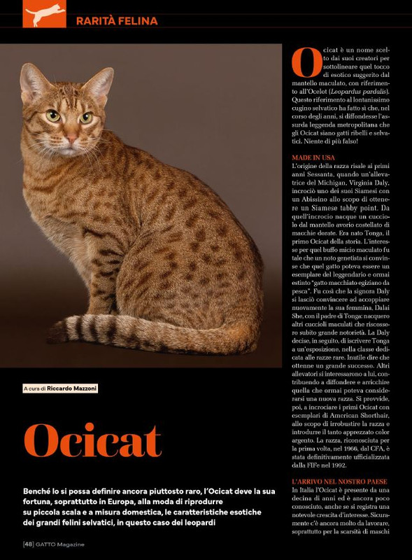 Ga Ma Apr-Mag 2025 (7)