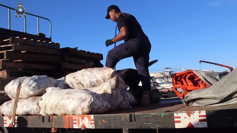 Fiji-Police-K9-Unit-raid-sm