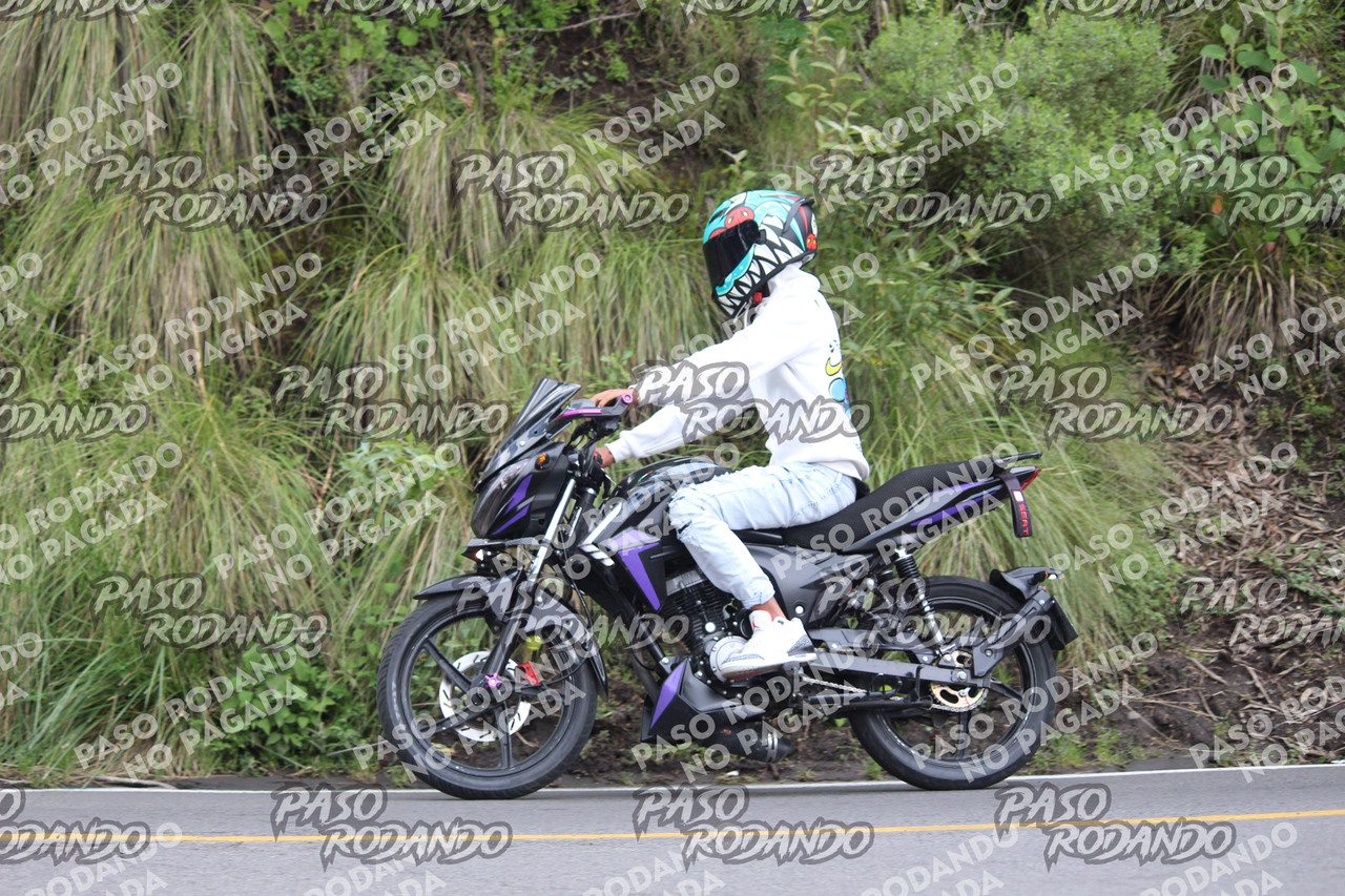 IMG 6980