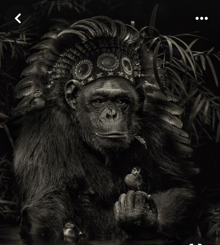 Screenshot_20240409_000445_Pinterest