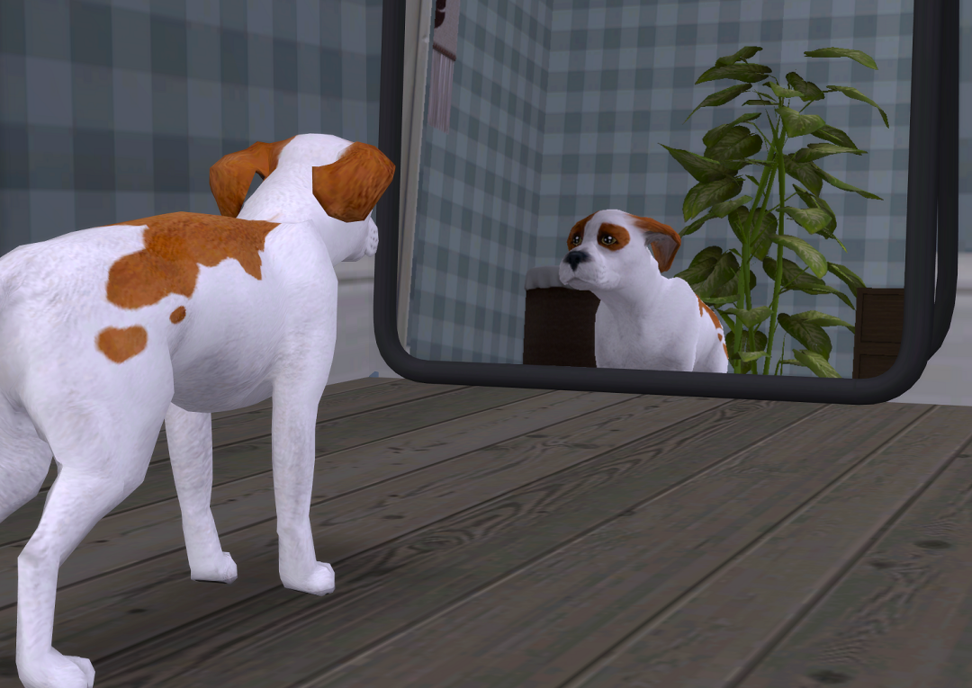 ksnip-20250223-141717