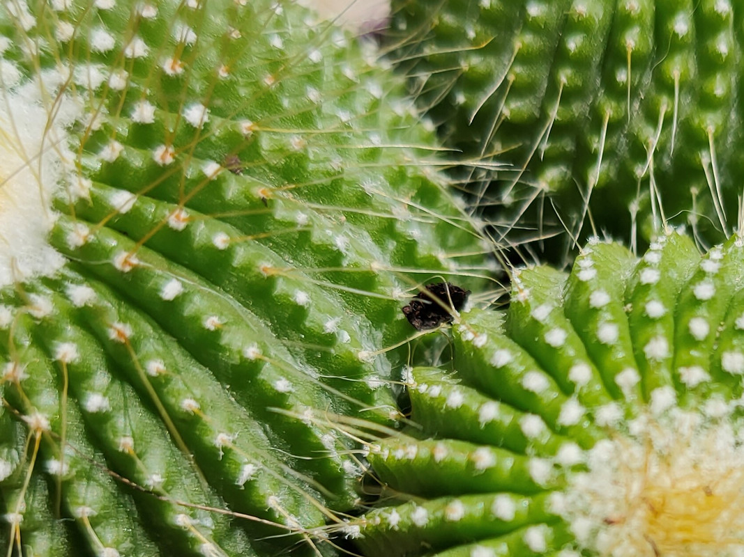 IMG20200802160906 (2)