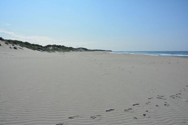 Día 18. La costa Sur - 21 días por el Sur de Noruega (1)