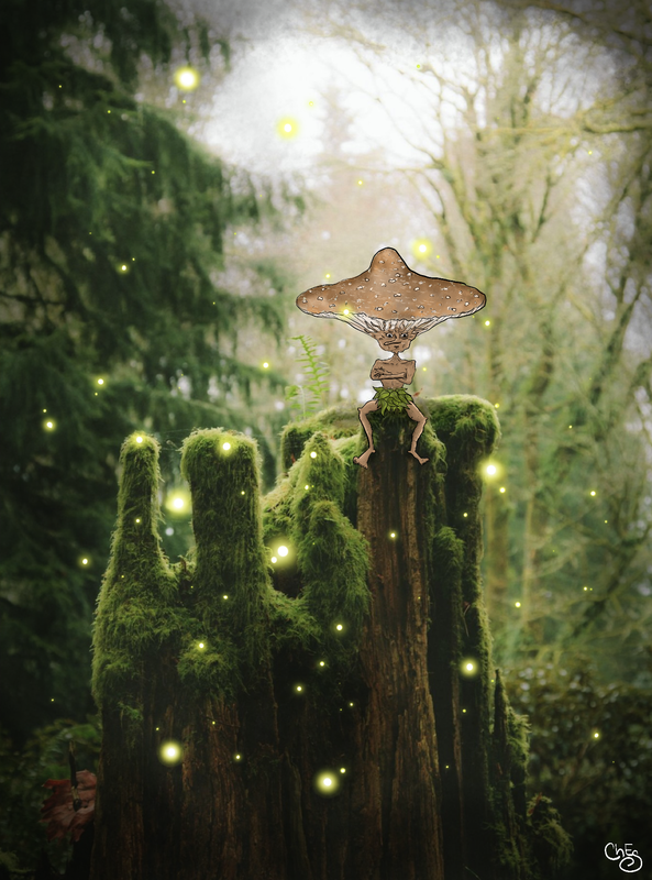 8E539007-98A5-4185-94B5-3FF88ACE6847