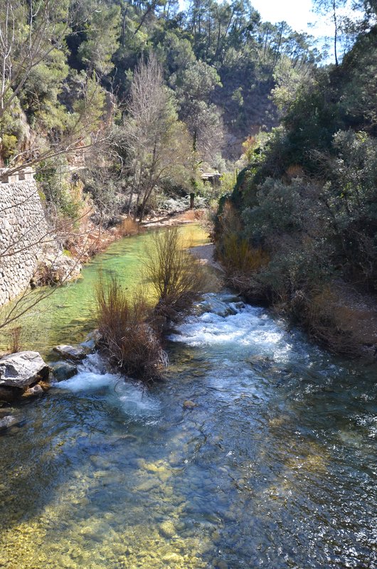 RUTA RIO BOROSA-12-3-2016-JAEN - Paseando por España-1991/2016 (5)