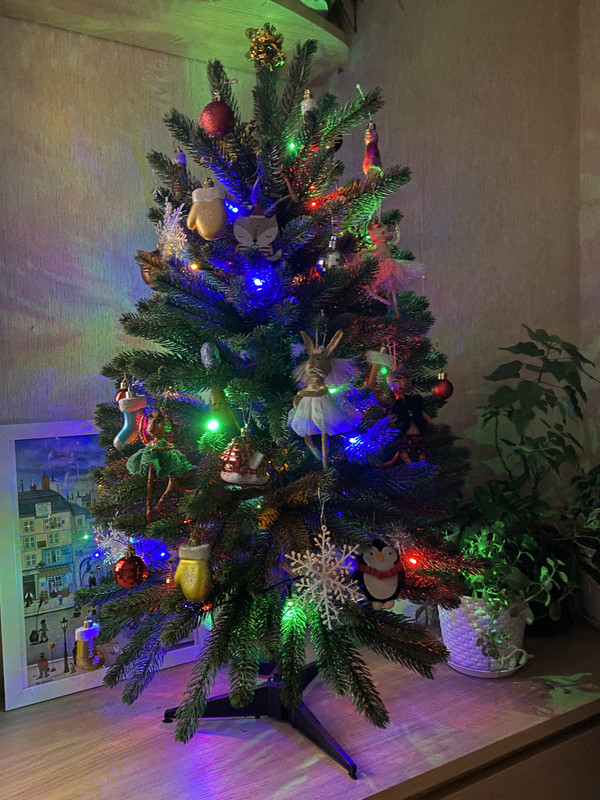 E647D2F5-D398-4D51-BBCF-2D410D6AE592