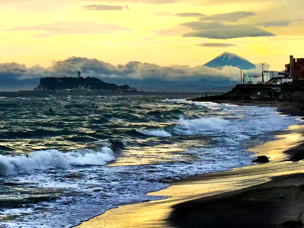 9193C906-9D56-4501-955D-574EBA75D8EE