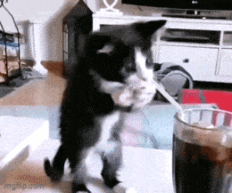 71.gif