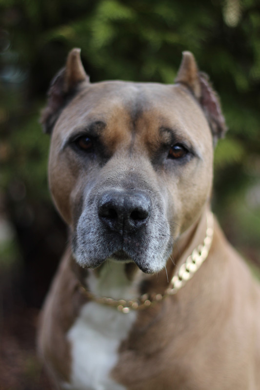 C501B868-1FFC-49D8-9E3C-A65CB1334378