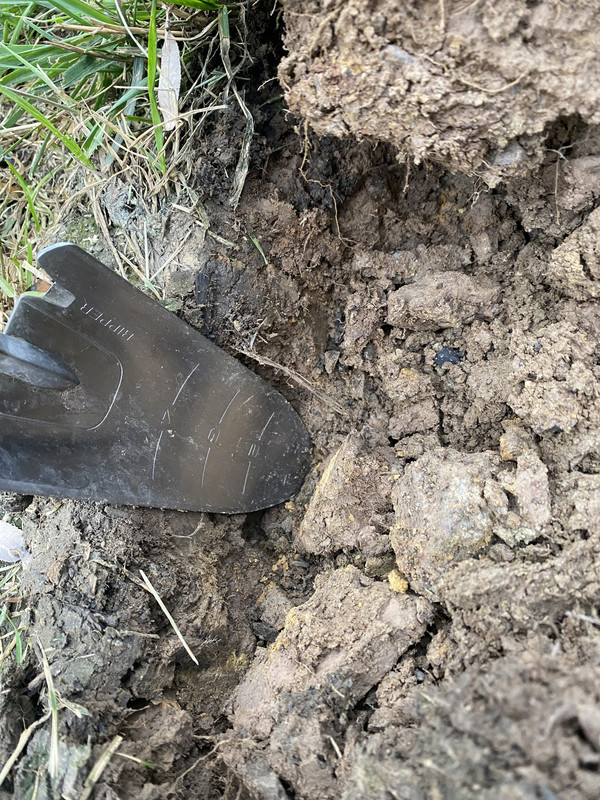 C0E86E72-503B-4105-A70C-C4D2212D2C48