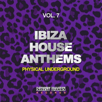 VA - Ibiza House Anthems Vol. 7 (Physical Underground) (2018)