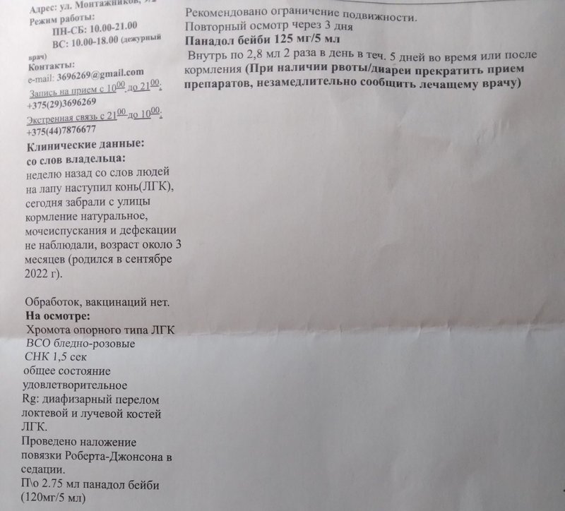 изображение_viber_2022-12-10_22-37-07-278