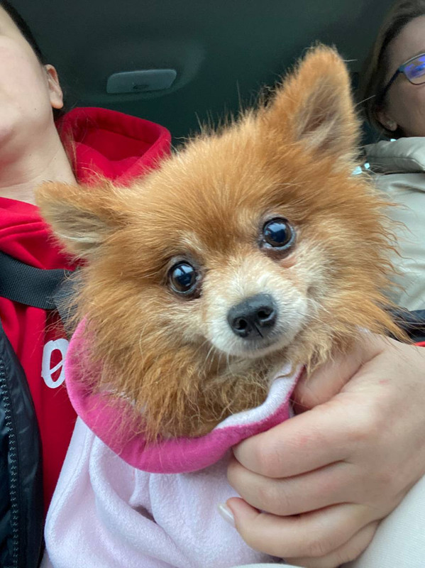 52EAE593-A3BE-4479-945F-F9ED91D9CEBA