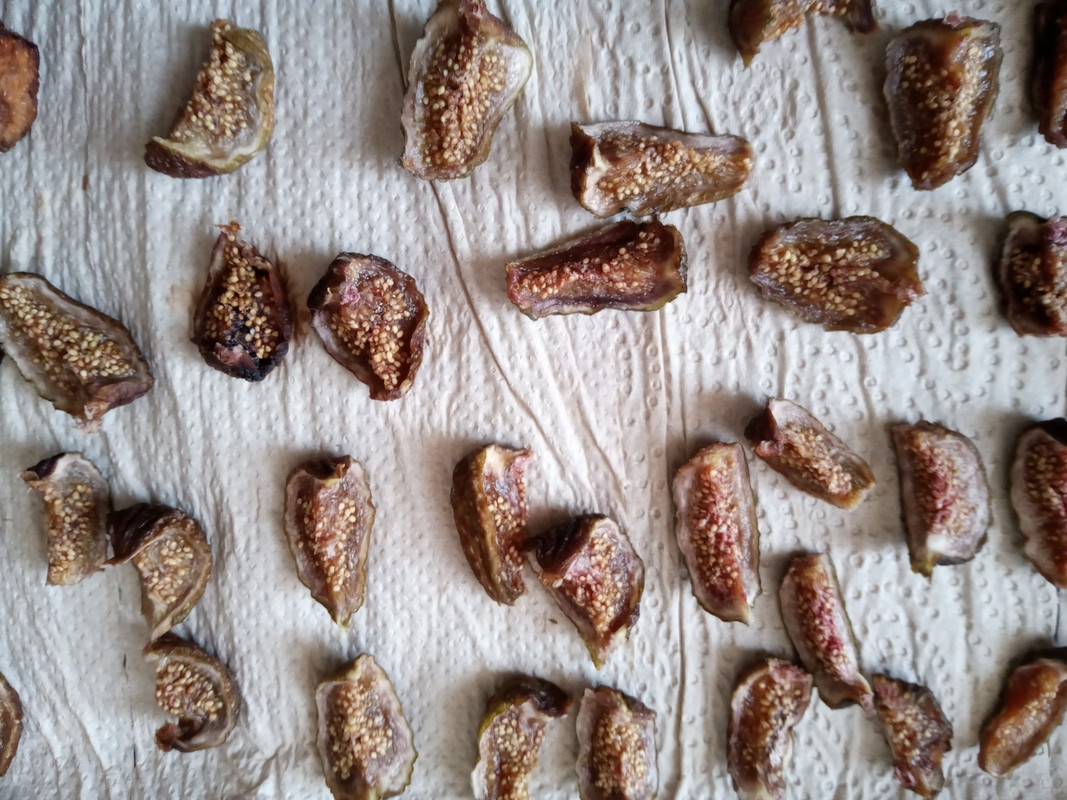 IMG_20240731_084626_995