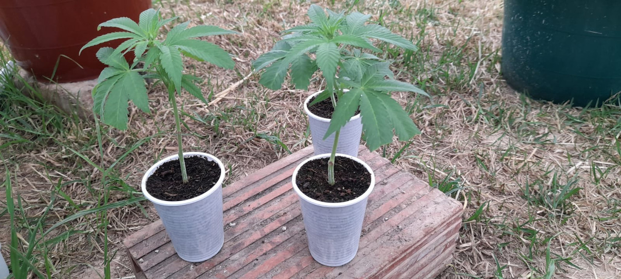 WhatsApp Image 2023-01-04 at 7.14.50 AM (2)