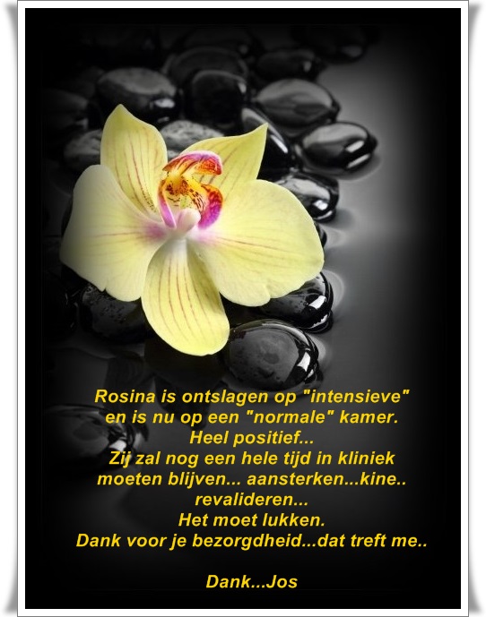 welkom opblog Bunic Jos