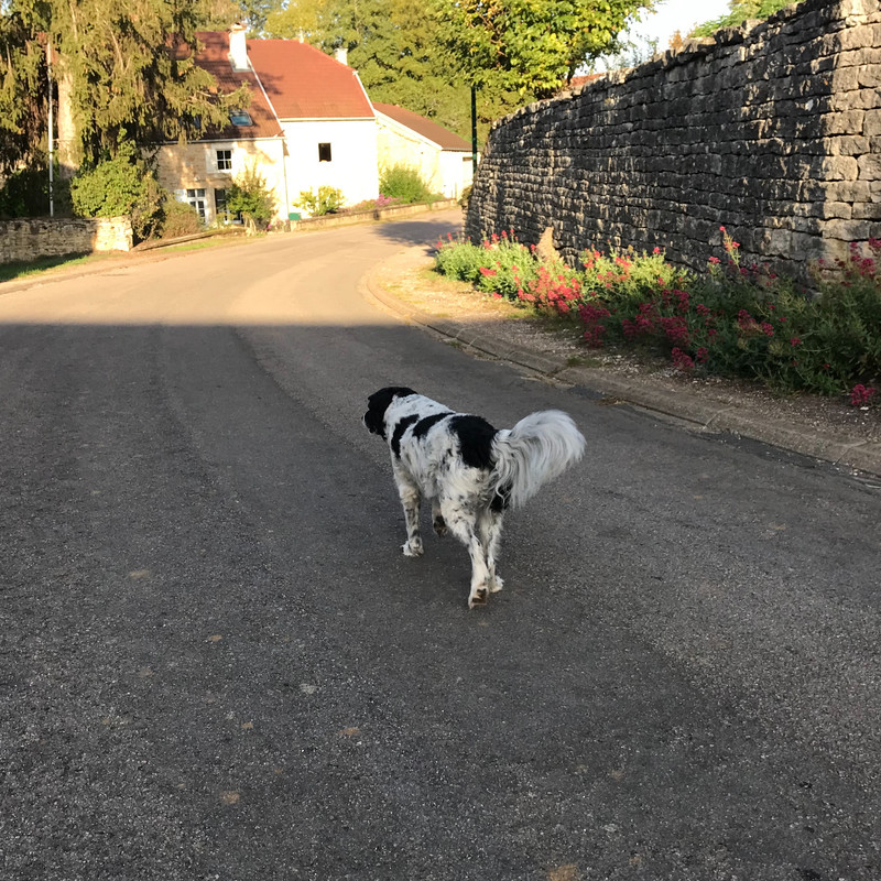 EBBE542D-15D9-48E9-9B79-47F0170B7042