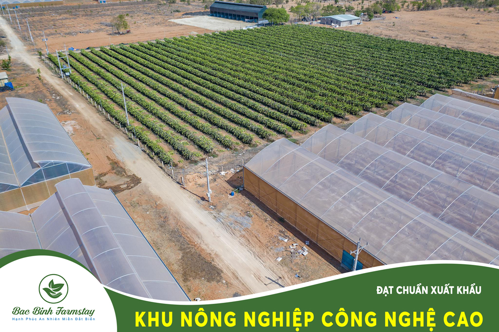 Bắc Bình Farmstay Bình thuận
