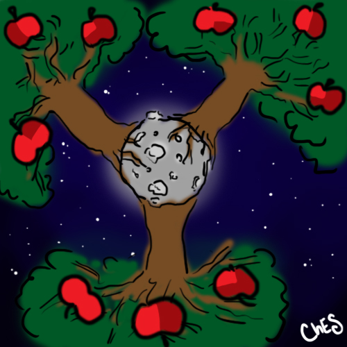 návrh_kruh_vyvazenosti1