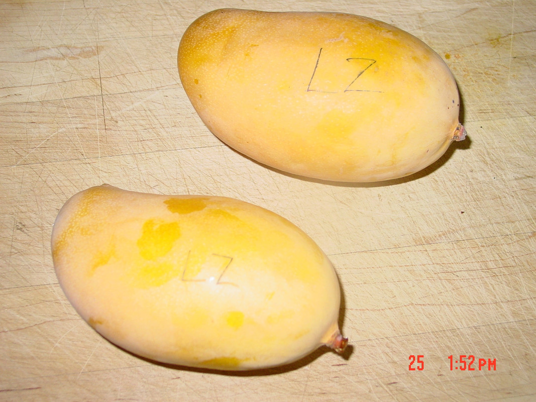 LZ fruit 080414