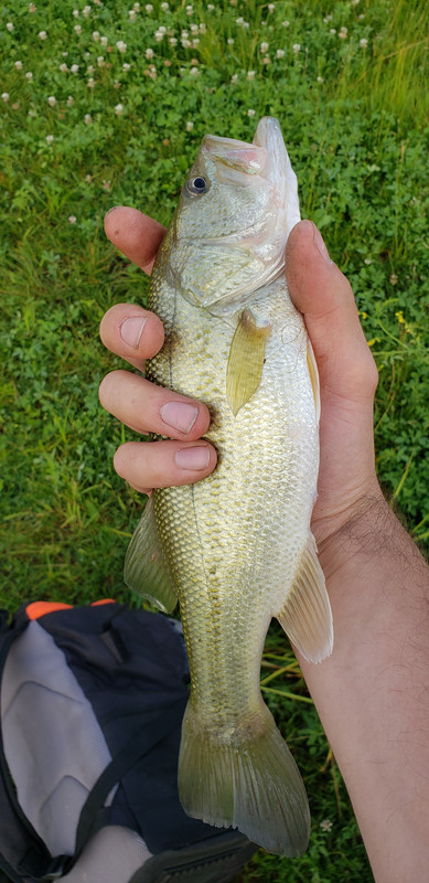20230626-202750.jpg