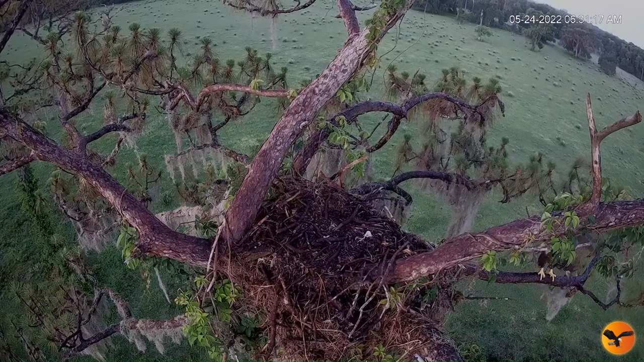 EC 4K Overhead Cam 2-36-16 screenshot