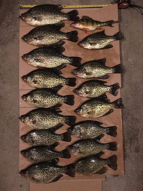 8DE78875-6EA0-442B-9217-341FE5915EDA