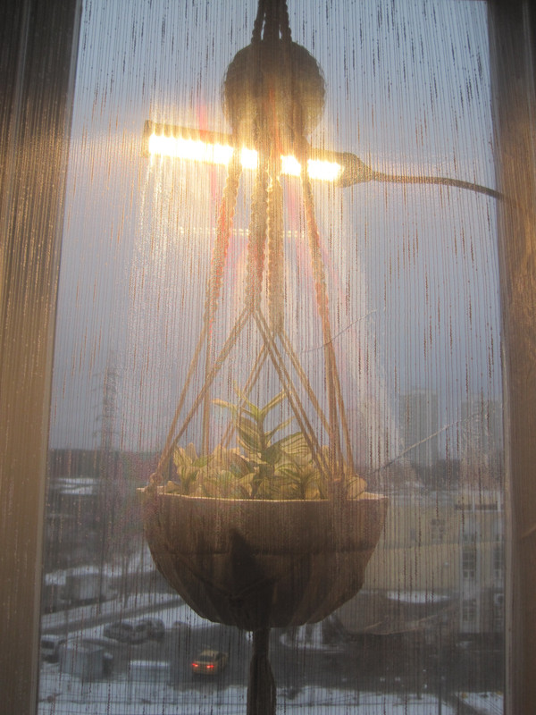 За окном мрачно