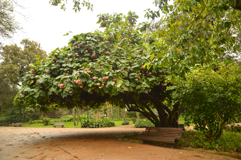 Día 3: Estrela, Alfama y Graça - Lisboa en invierno y en primavera (3)