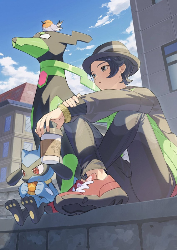 riolu-paxton-zygarde-and-fletchling-poke
