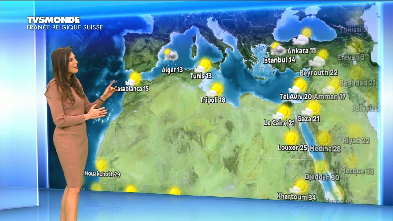 01.02 - 17.26.00 - Météo. Le bulletin météorologique international.ts_snapshot_08.21.979