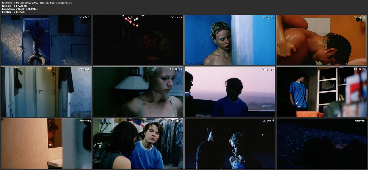 Pleasant Days (2002) aka Szep Napok.Hungarian.avi