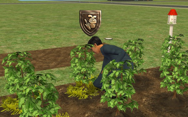 Lakewood_round3_059-600x375