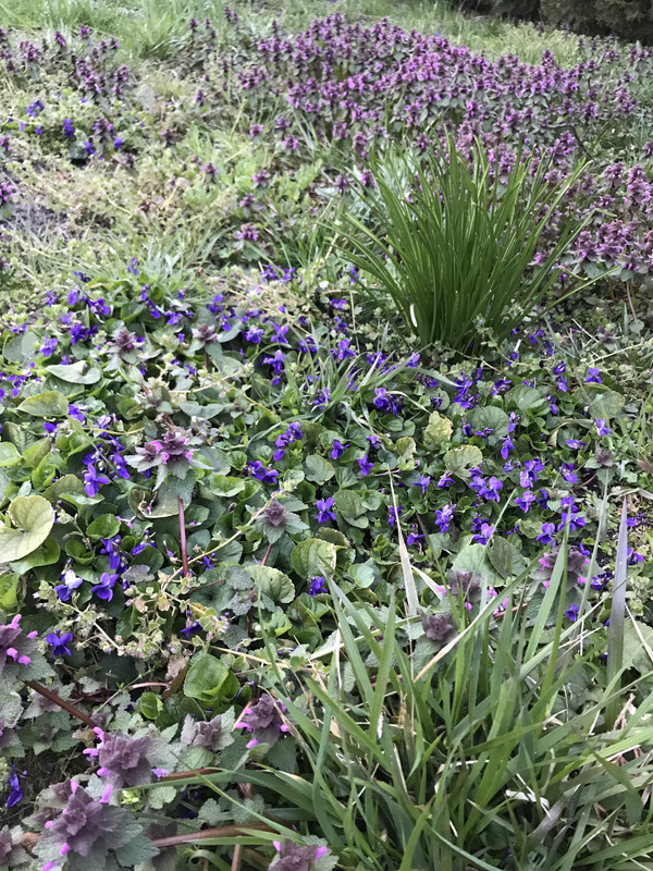 4-EF1006-A-F6-E5-43-B1-8092-125-BF6-DA0-