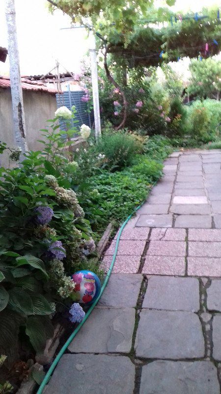 20190715_204305