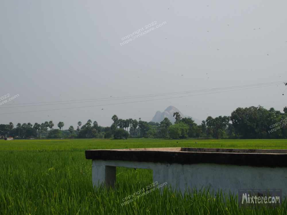 BBG&B12AStrollToSujataTemple - 9