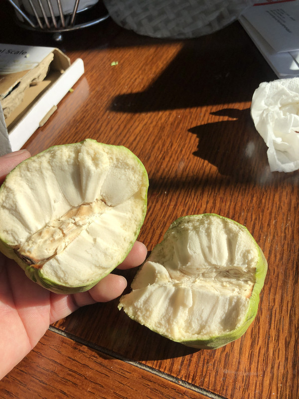 A4ECE8F1-9F58-45E8-96F0-645AF8085E79