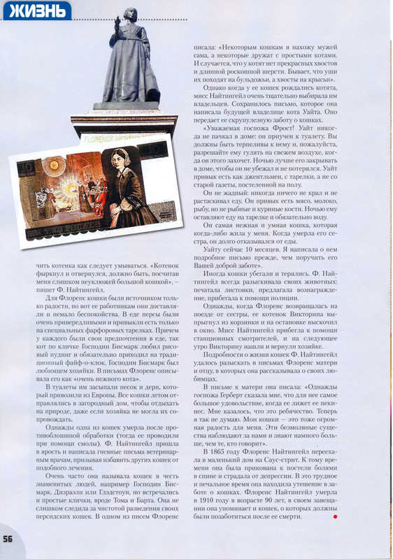 Мой друг кошка № 11 2010-58