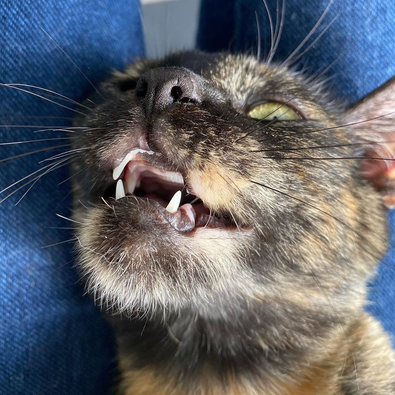 1195A95E-31EE-4526-B4E9-55FCBA1E3A5D