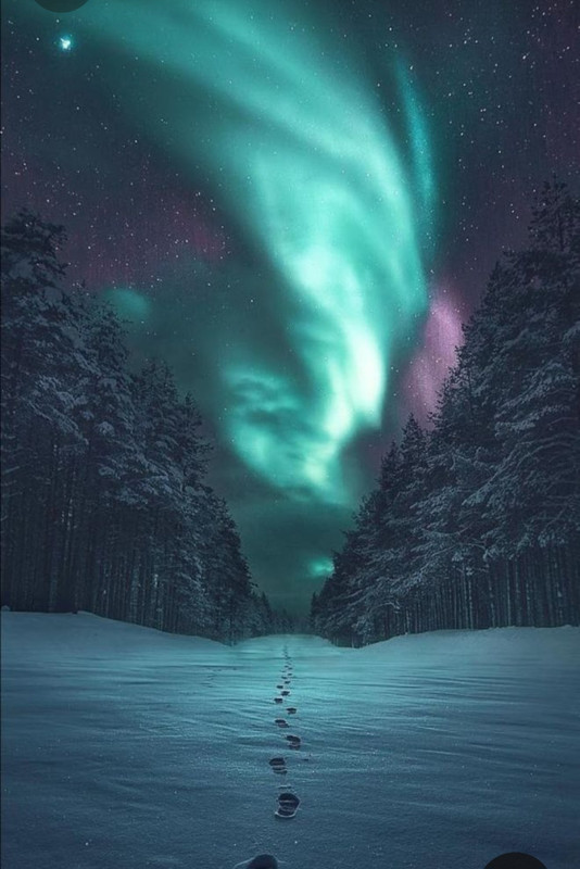 Screenshot_20230307_003920_Pinterest