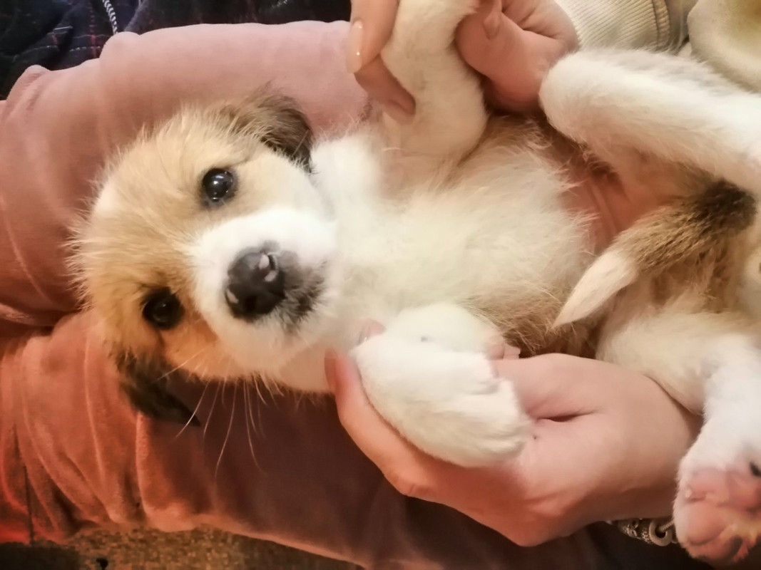 3B826071-DDB4-4B46-B14E-32EE2534A3DE