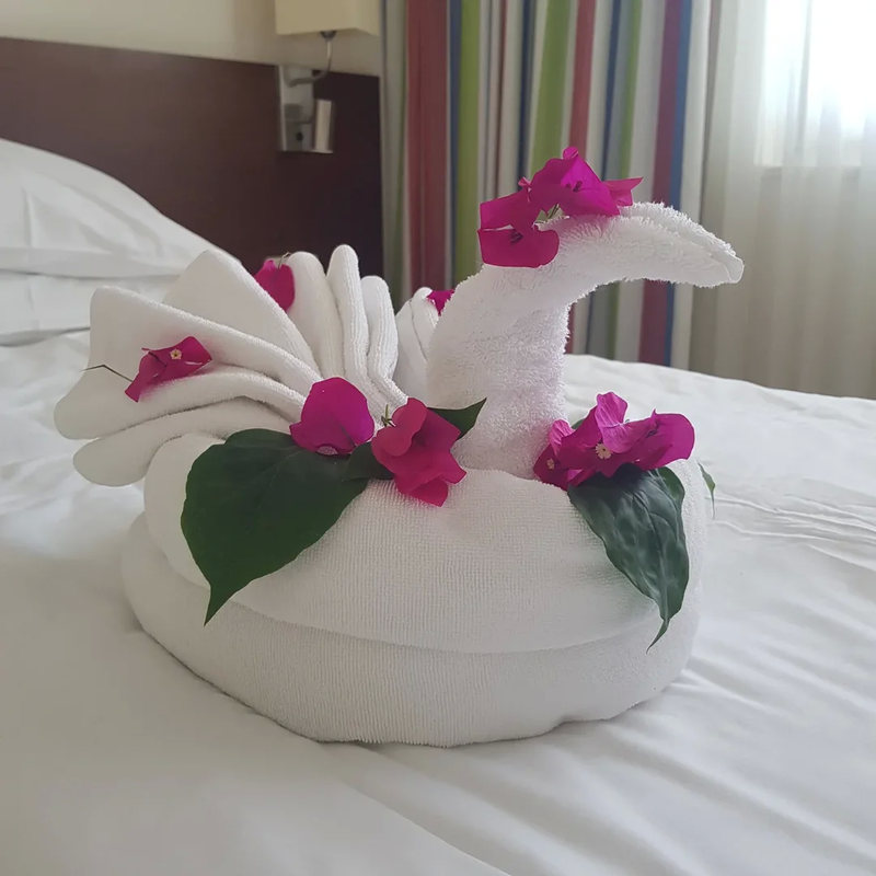 0OeqJ0KSMb2Z6KUr_bhlMV_narMpFs4OZKQF5djBuGtGwJkToqvMOoapSCVxEztZ