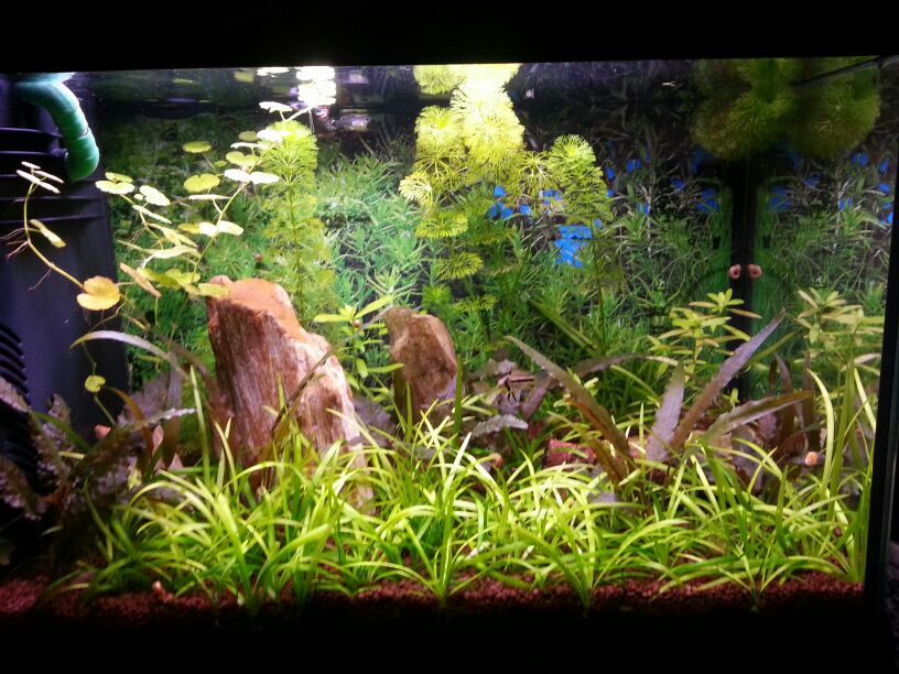 3972EE4B-A690-406B-BBA1-8A16A3B4C1EF