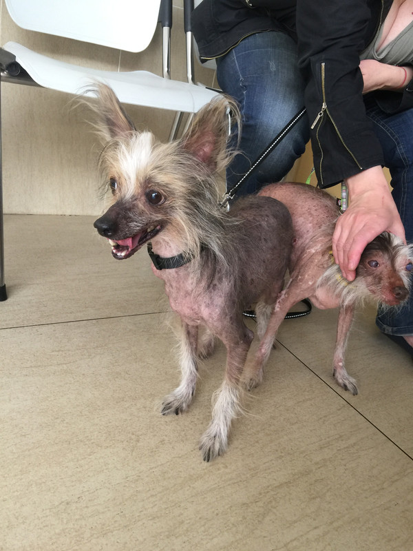 C9D04D04-0105-4516-9A5E-7C1C5F0C527D