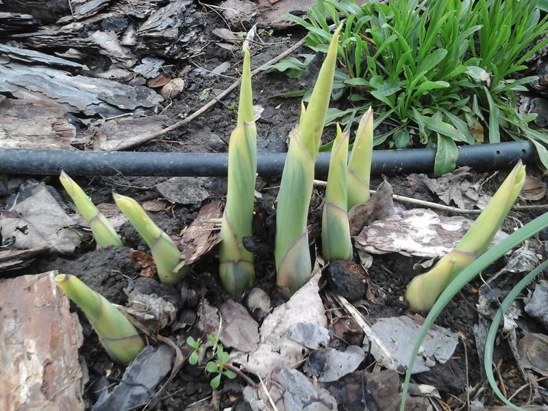 20190416_121845